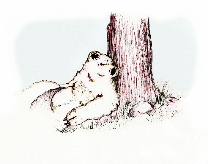 Sad Creature